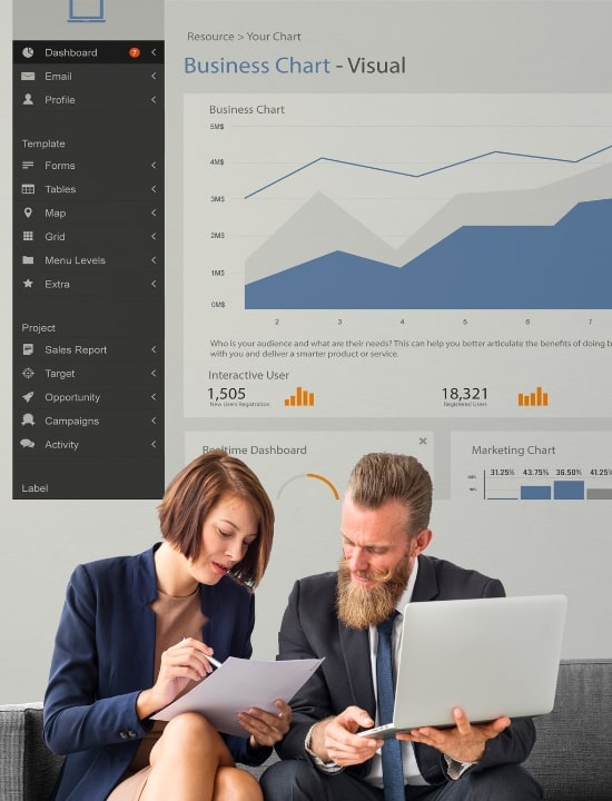 BI & Visualization Consulting