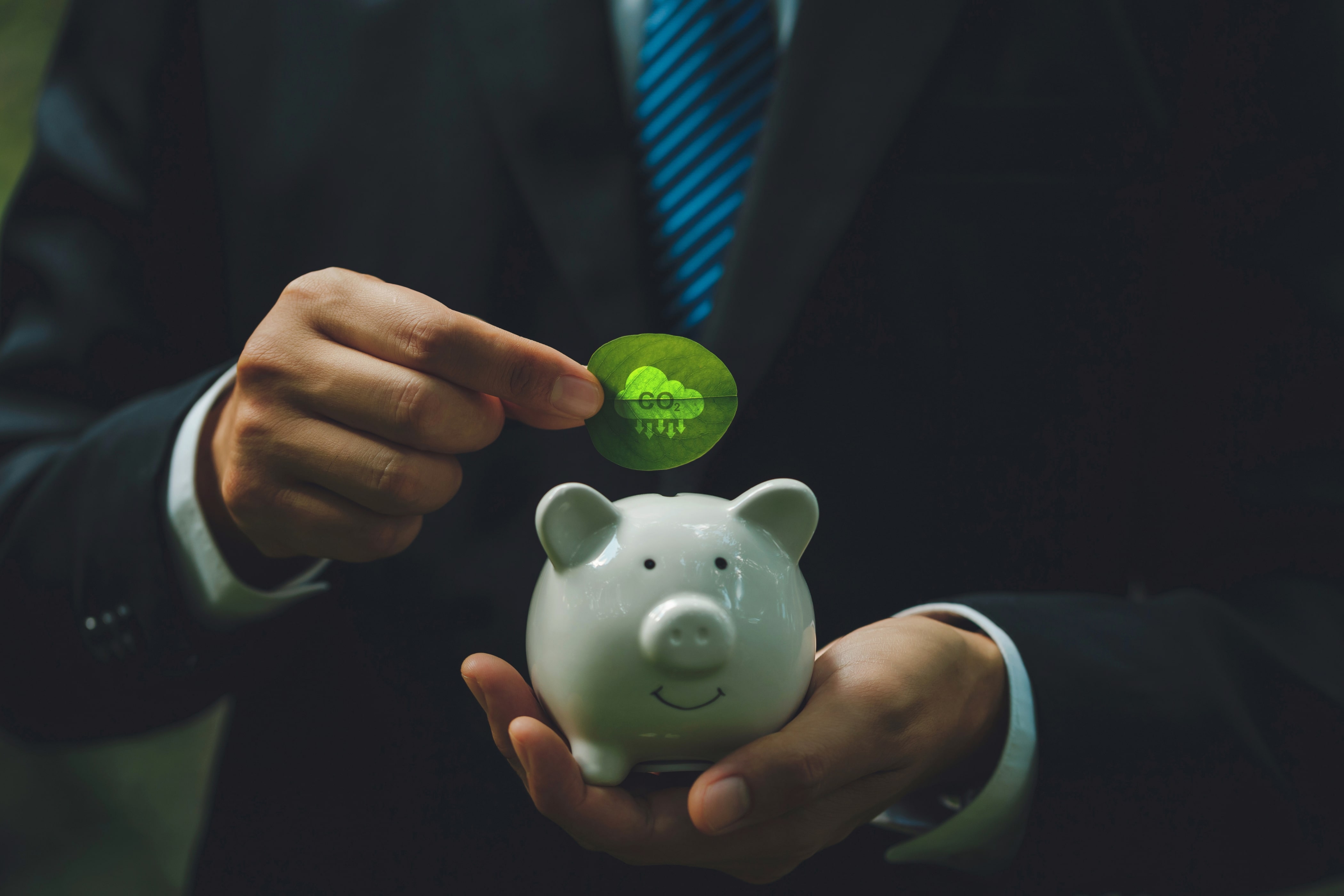 Company Finance Data