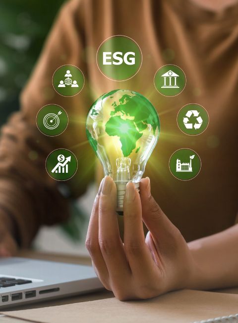 Esg Data Solution Partner