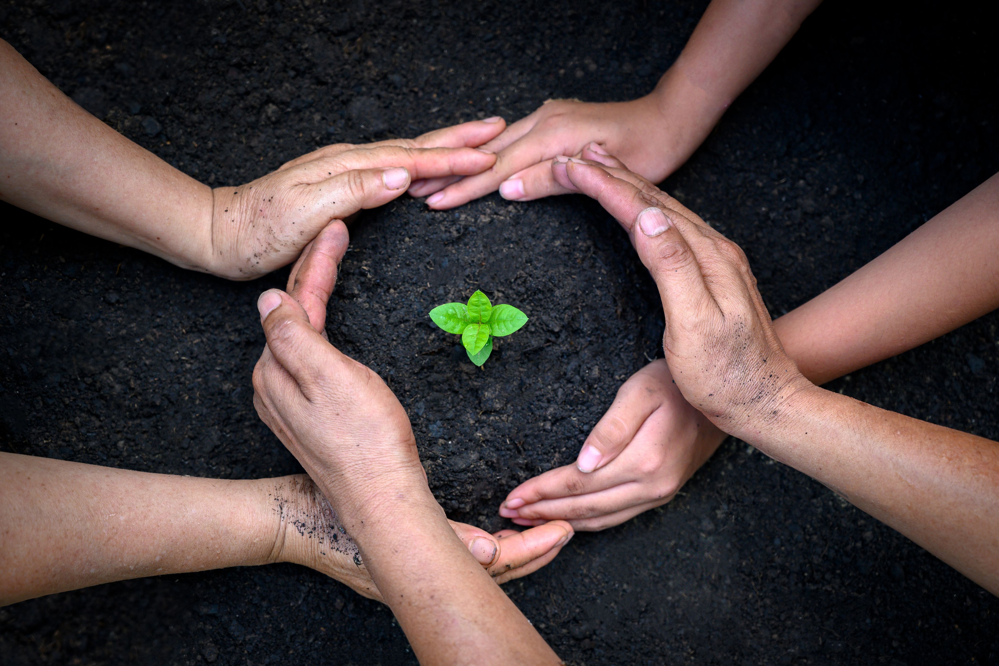 ESG Environmental Metrics
