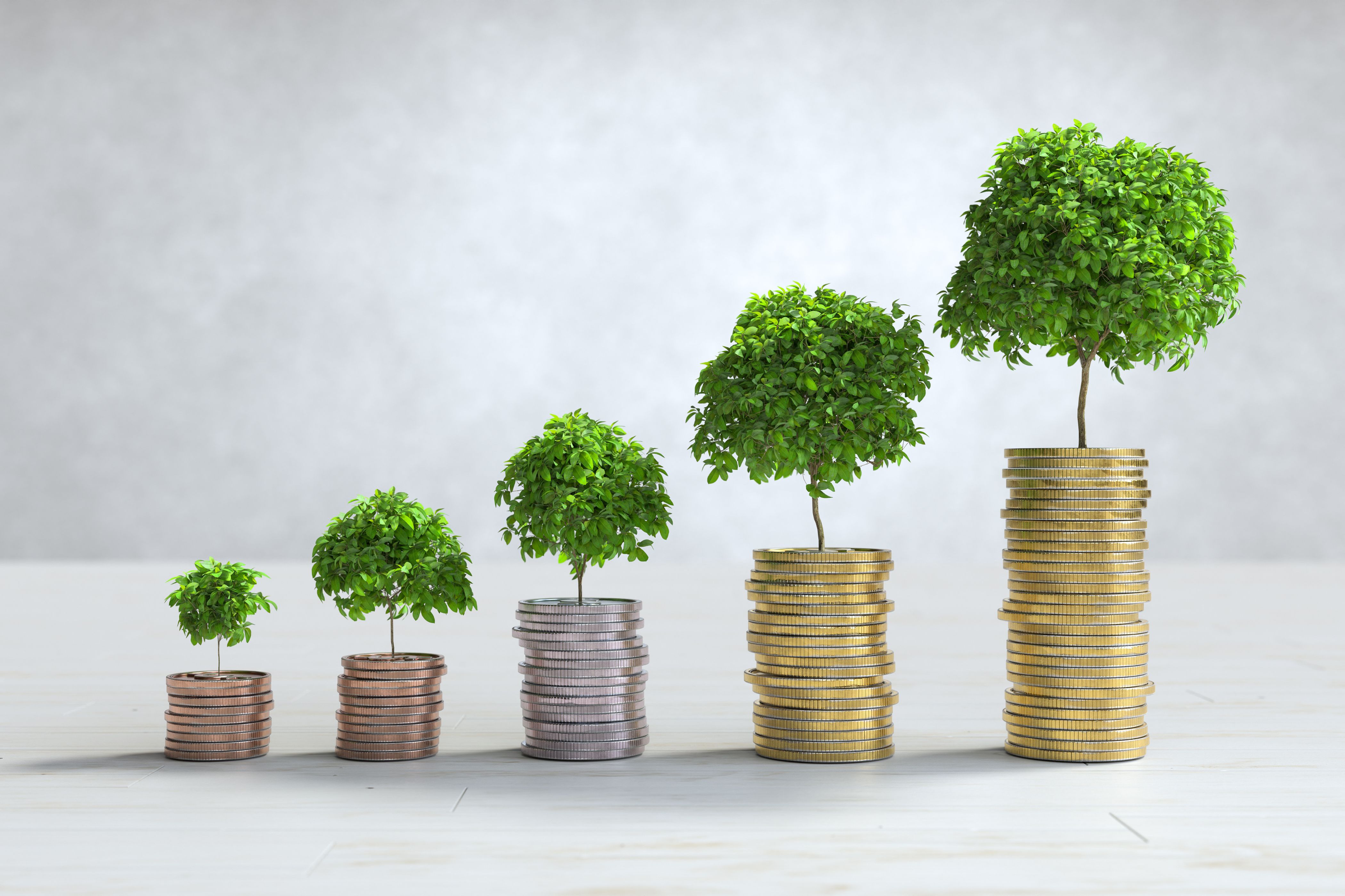 Financial Data Services